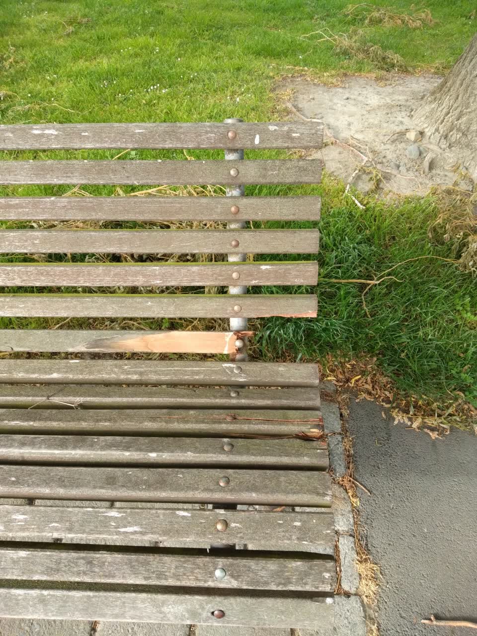 The photograph attached to this parks report