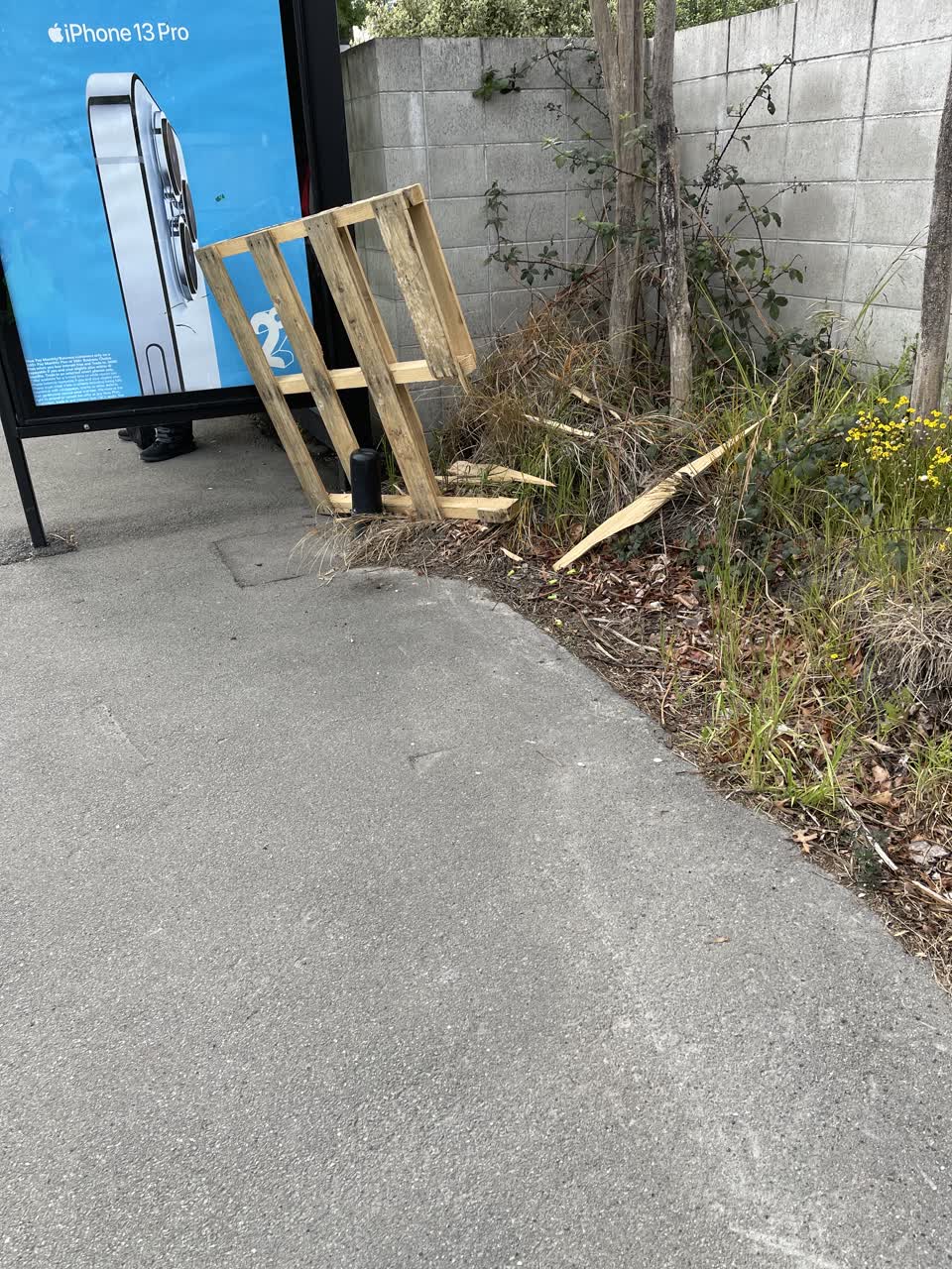 The photograph attached to this rubbish/recycling report