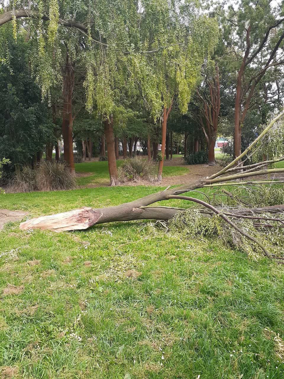 The photograph attached to this parks report