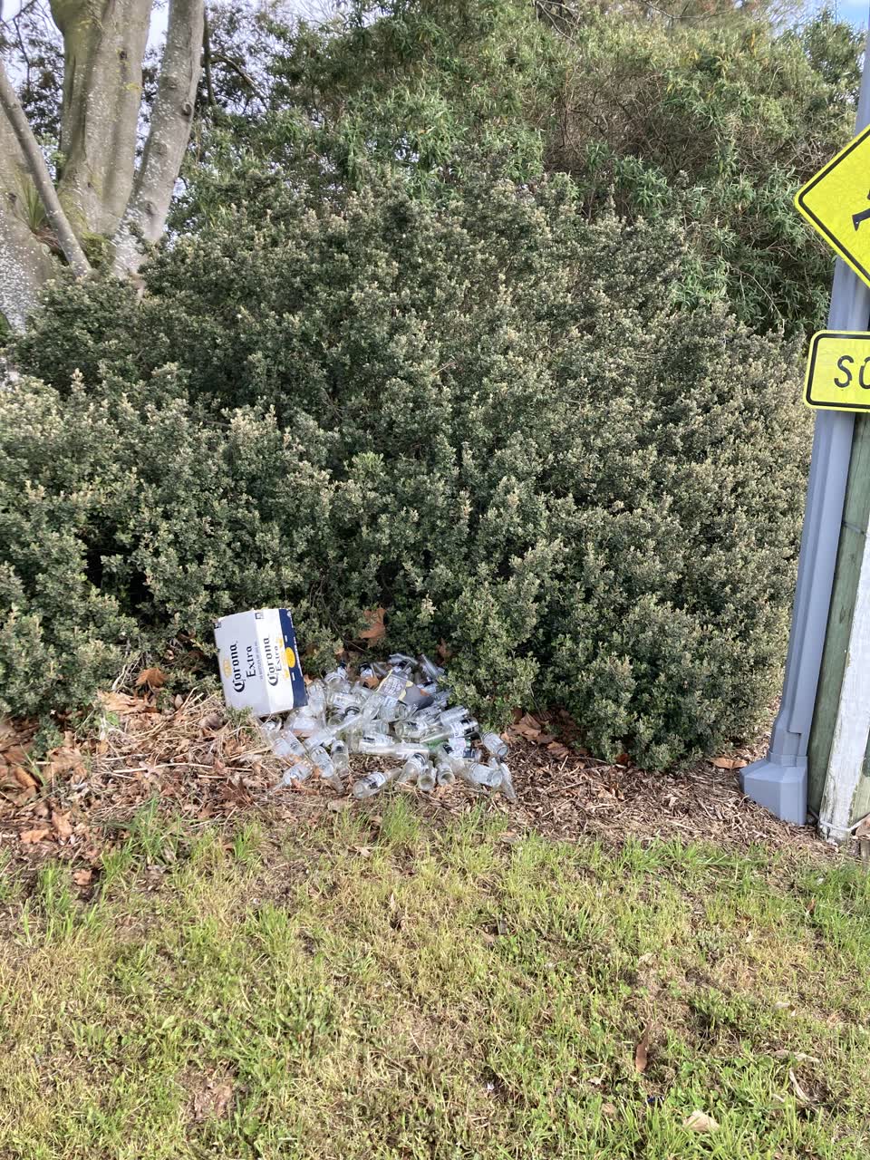 The photograph attached to this parks report