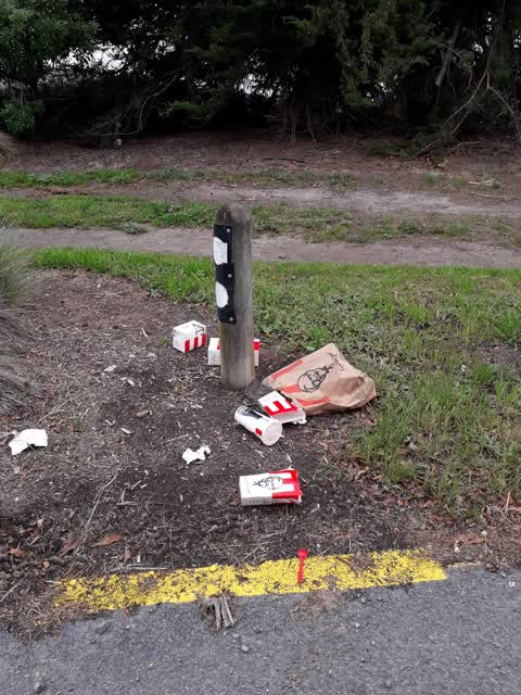 Rubbish/Recycling — a report photo