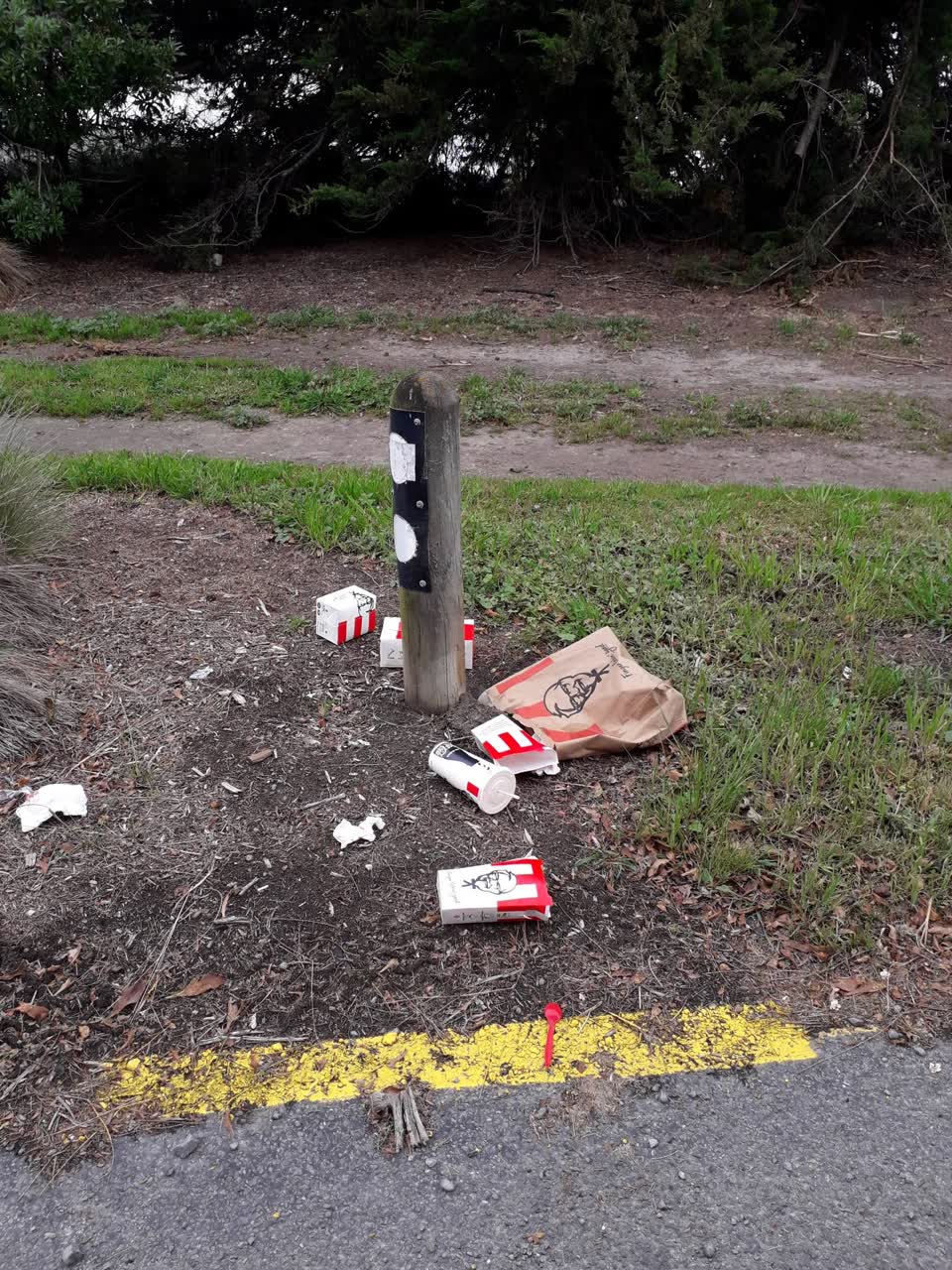 The photograph attached to this rubbish/recycling report