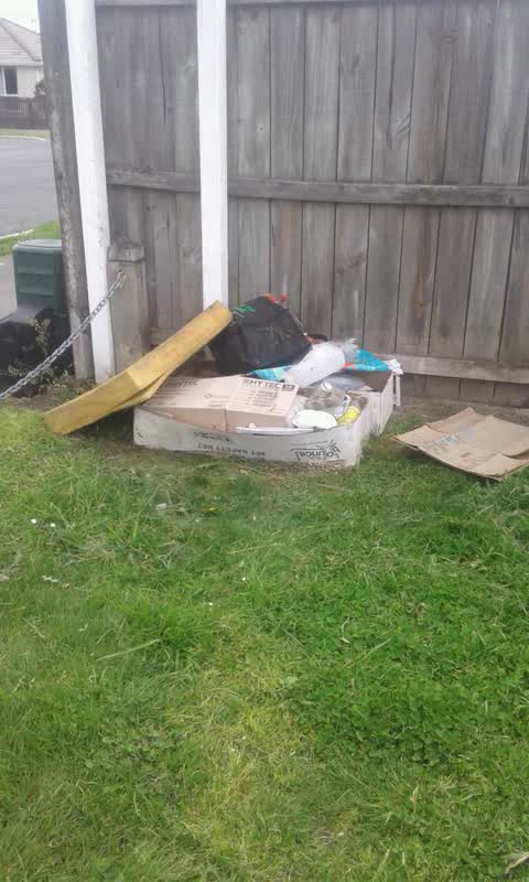 Rubbish/Recycling, a report photo