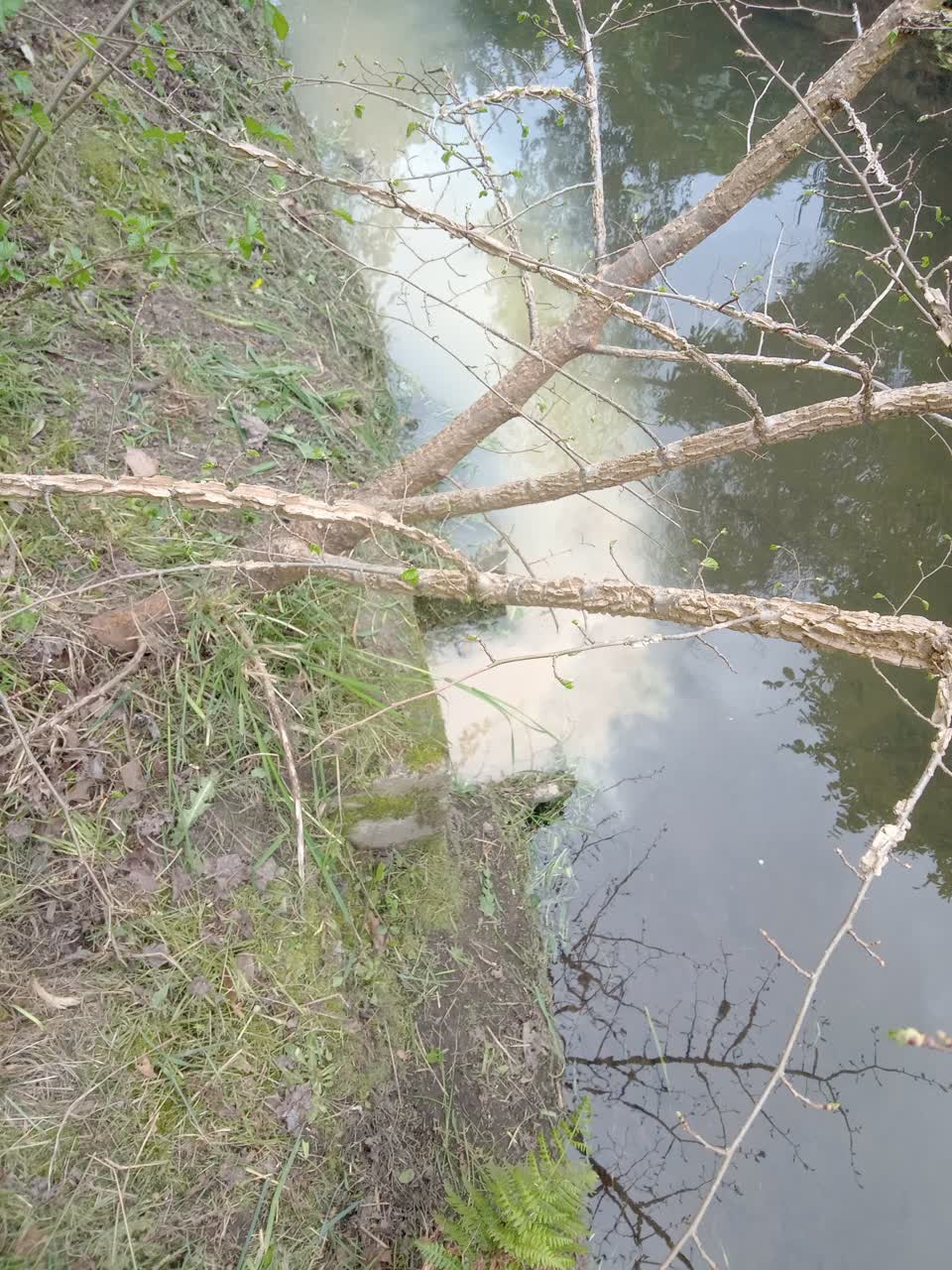 The photograph attached to this wastewater/stormwater report