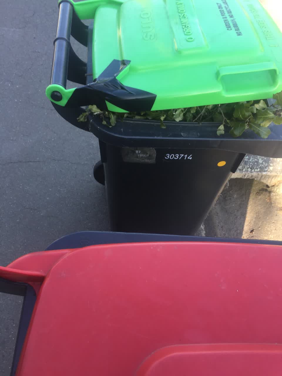 The photograph attached to this rubbish/recycling report