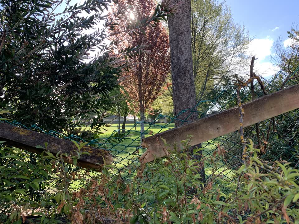 The photograph attached to this parks report