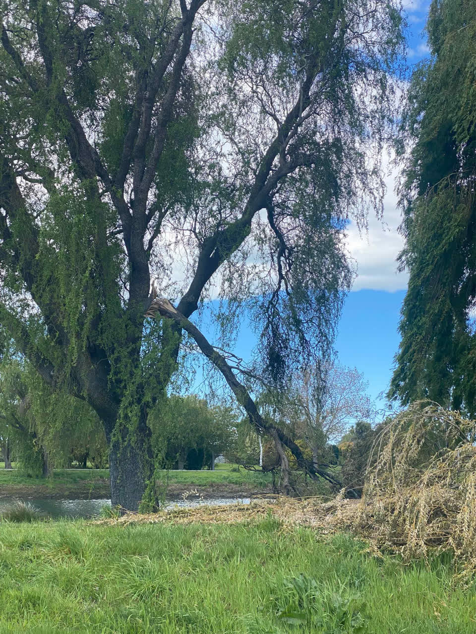 The photograph attached to this parks report