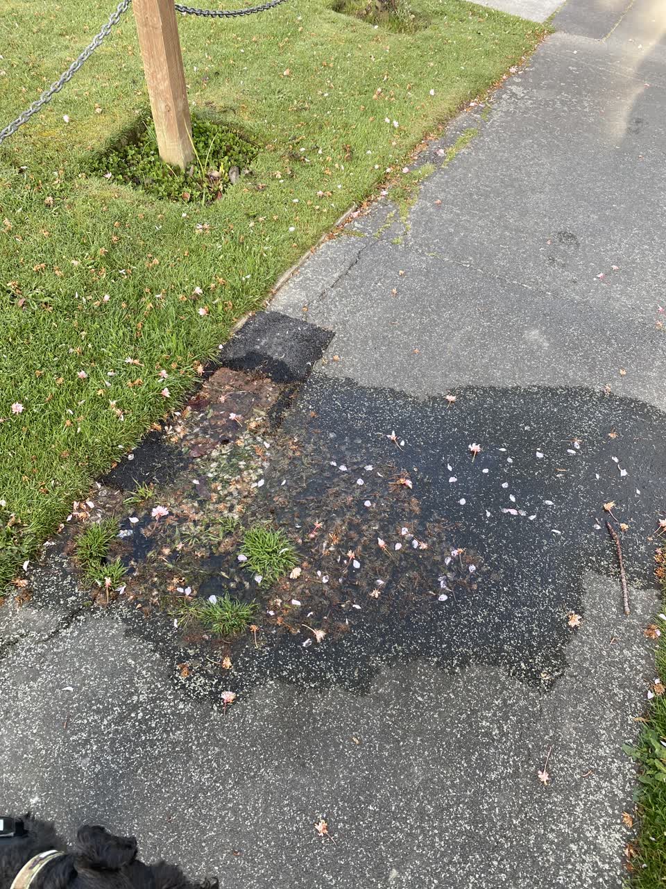 The photograph attached to this water supply report