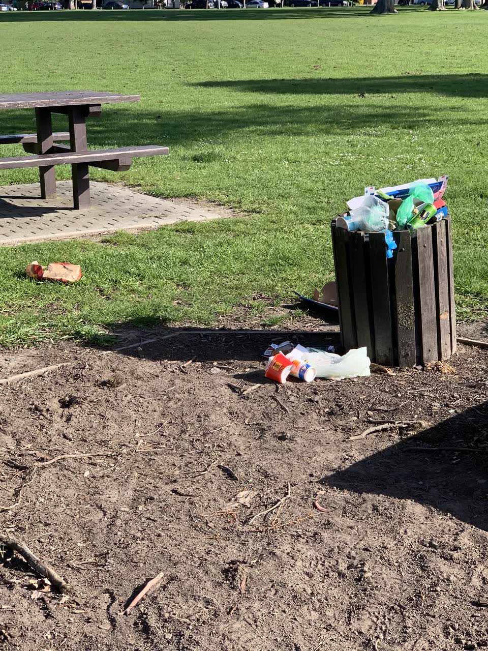 The photograph attached to this parks report