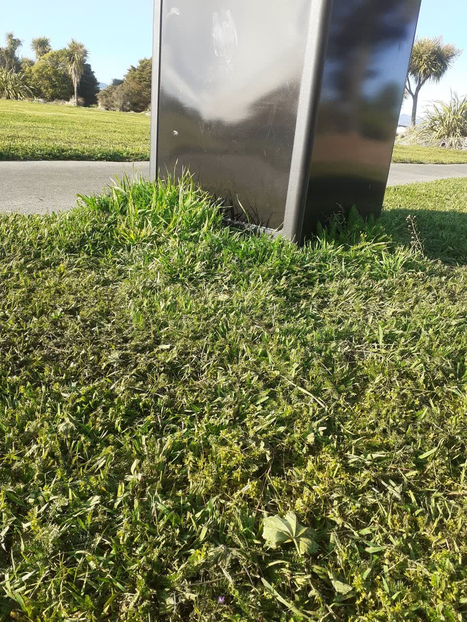 The photograph attached to this parks report