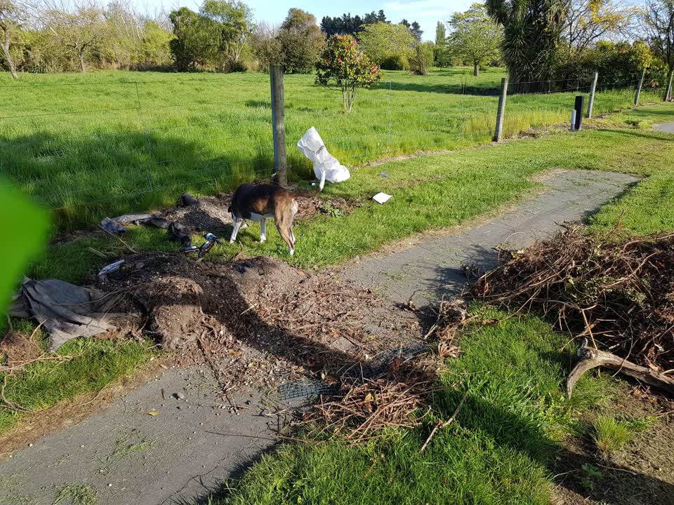 The photograph attached to this rubbish/recycling report