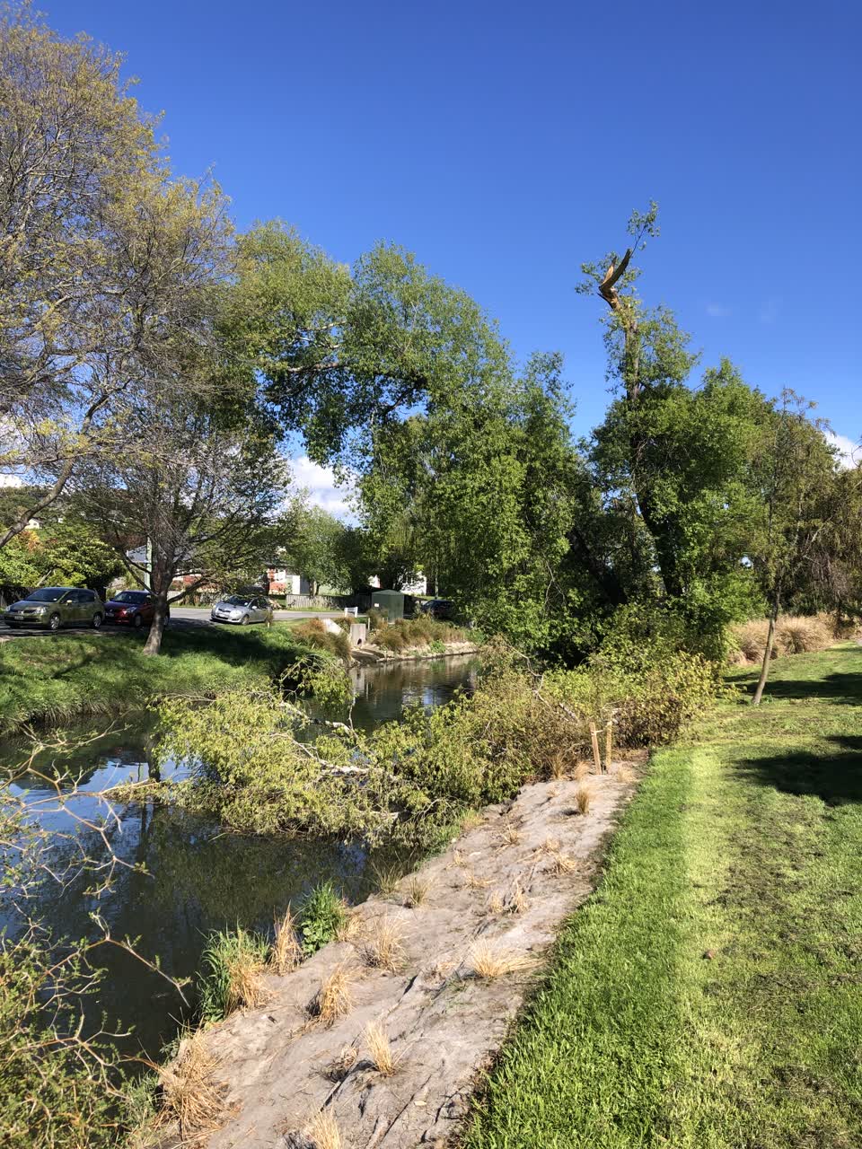 The photograph attached to this parks report