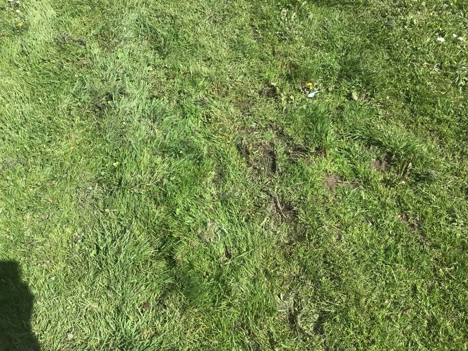 The photograph attached to this water leak report