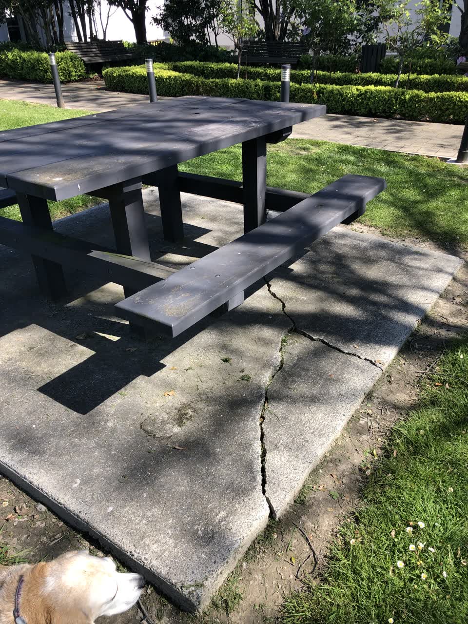 The photograph attached to this parks report