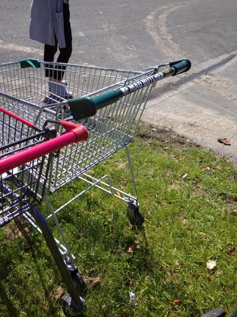Rubbish/Recycling — a report photo