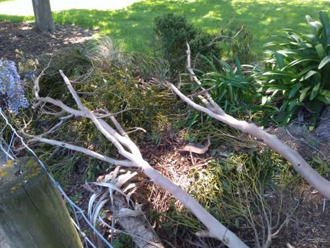Parks, a report photo