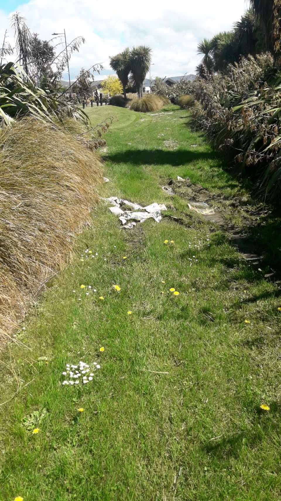 The photograph attached to this parks report