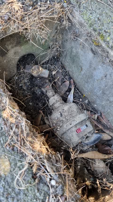 Water Supply — a report photo