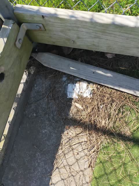 Rubbish/Recycling — a report photo