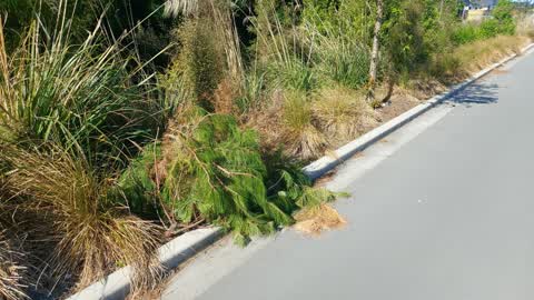 Parks, a report photo