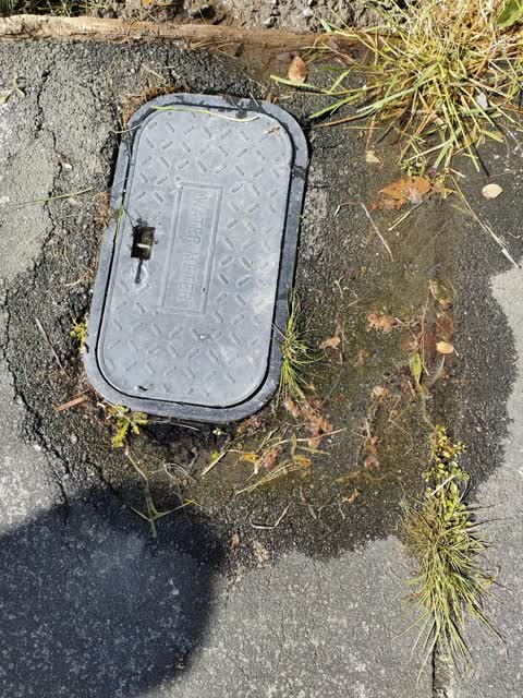 Water Leak, a report photo