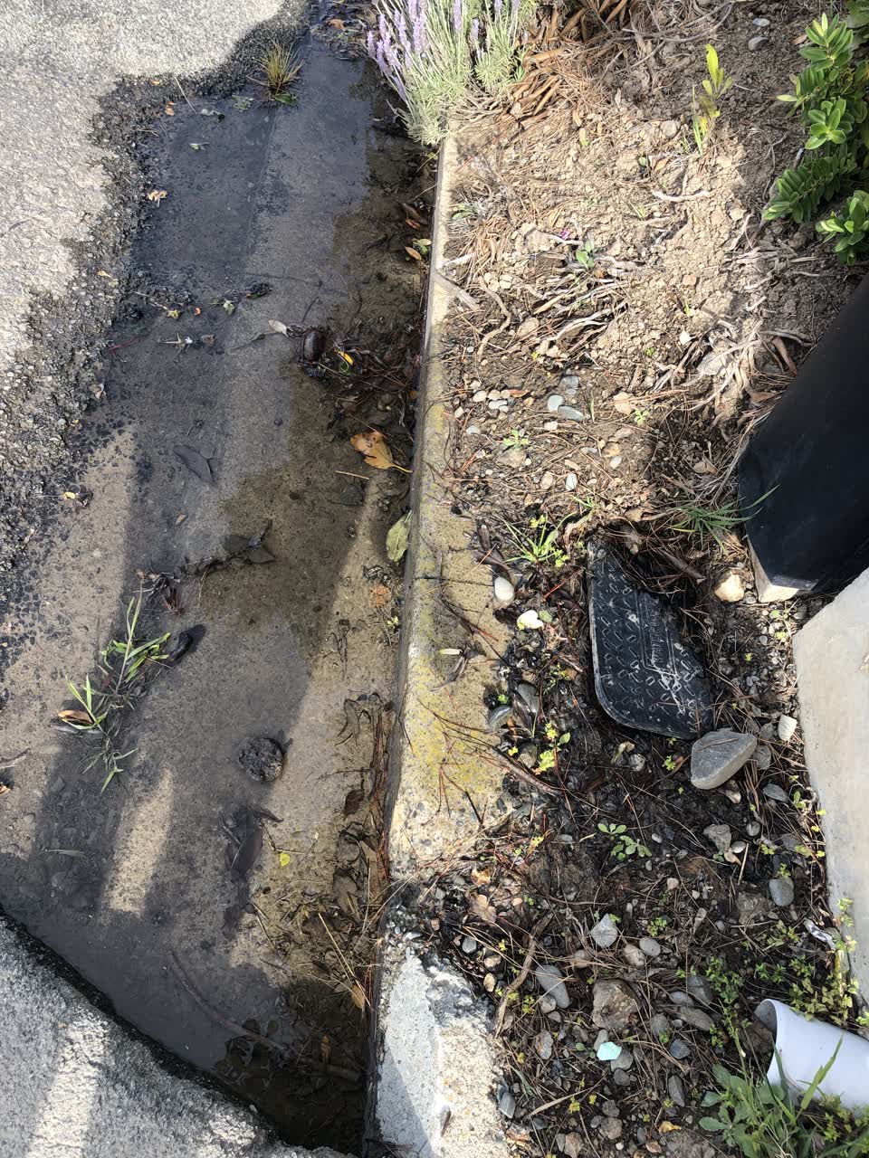 The photograph attached to this water leak report