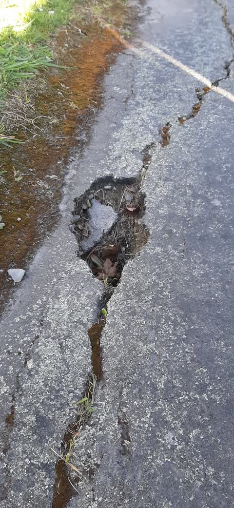 Roading/Streets, a report photo