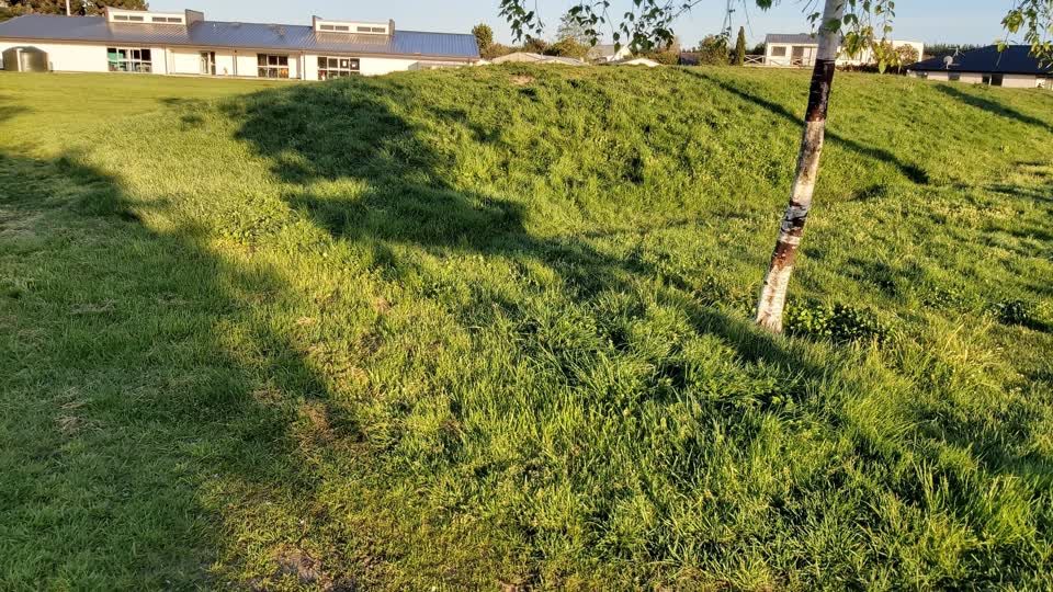 The photograph attached to this parks report