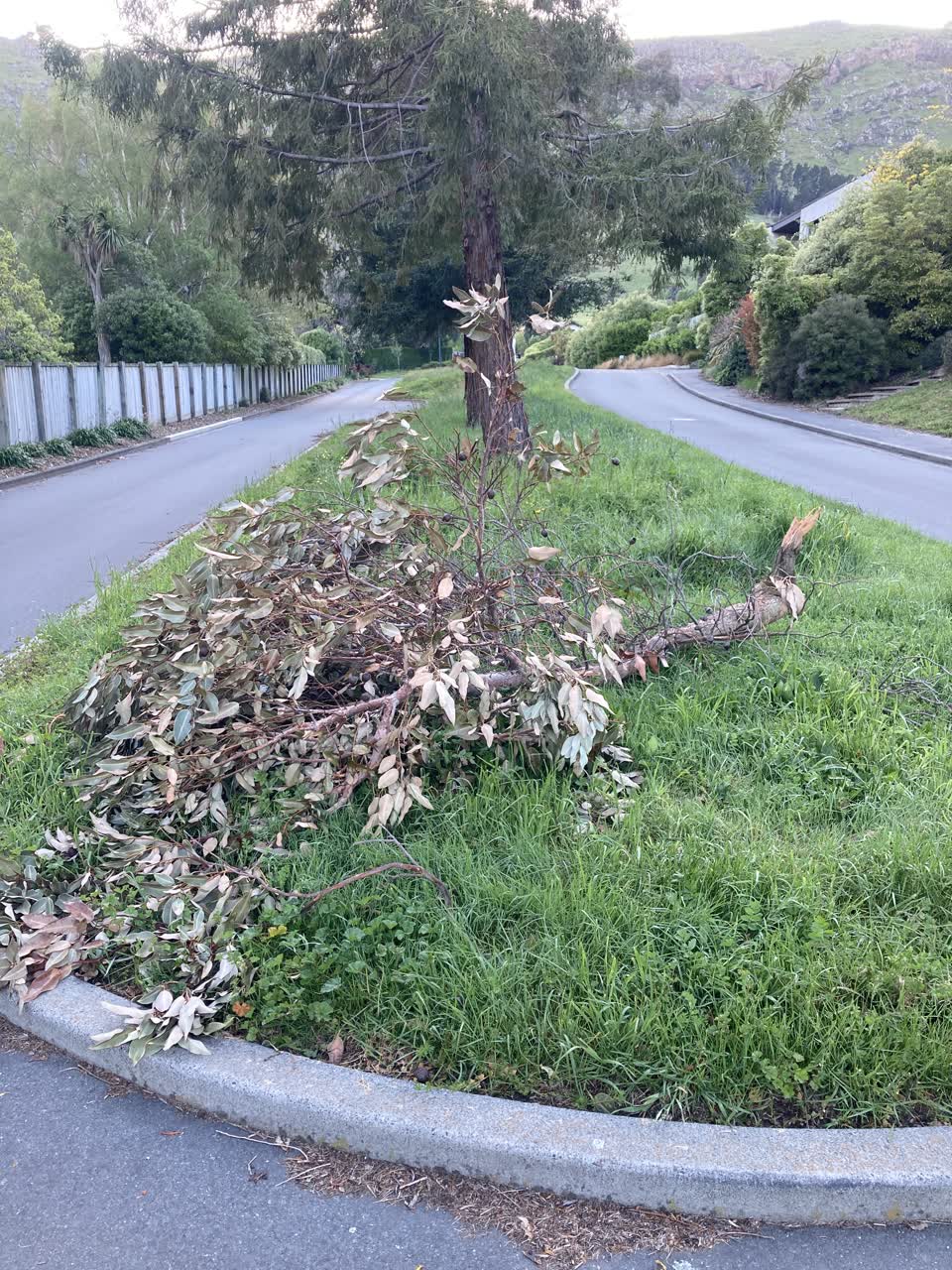 The photograph attached to this parks report