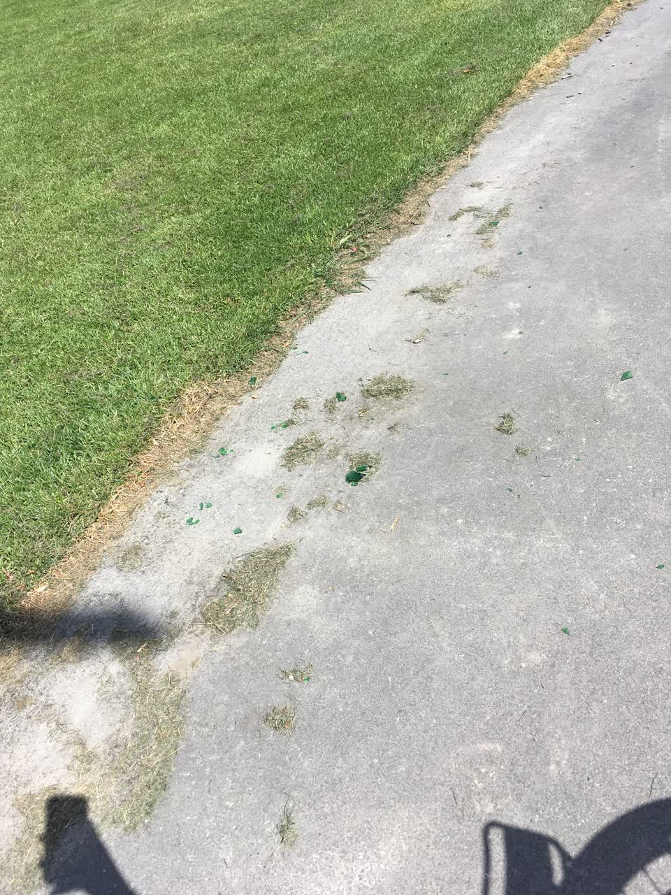 The photograph attached to this parks report