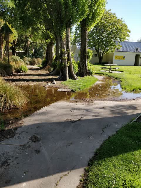 Parks — a report photo