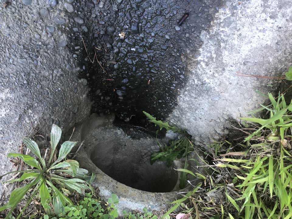 The photograph attached to this flooding report