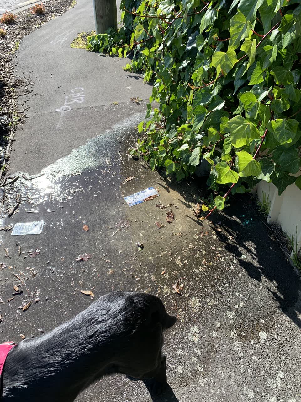 The photograph attached to this water leak report