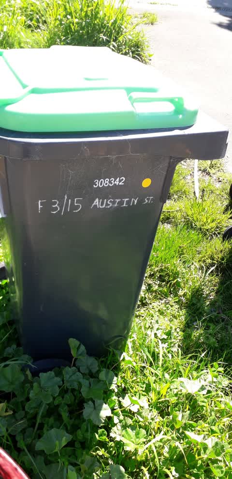 Rubbish/Recycling, a report photo