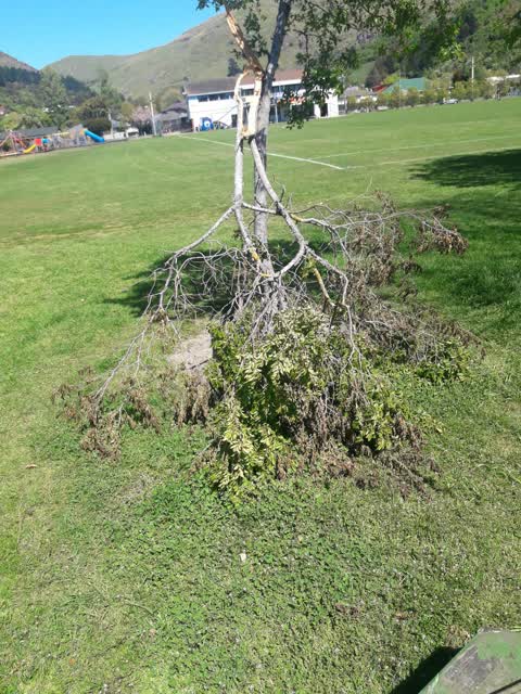 Parks, a report photo