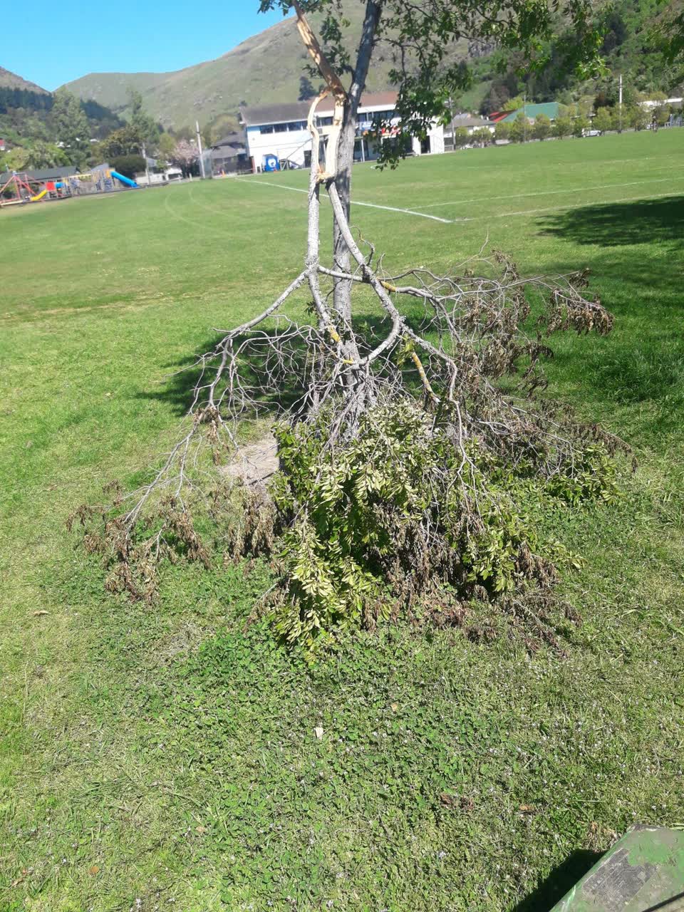 The photograph attached to this parks report