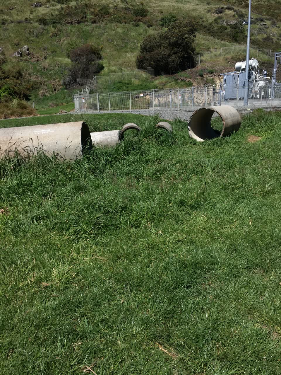 The photograph attached to this parks report