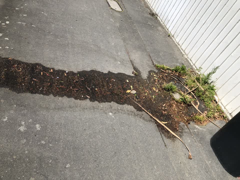 The photograph attached to this water supply report