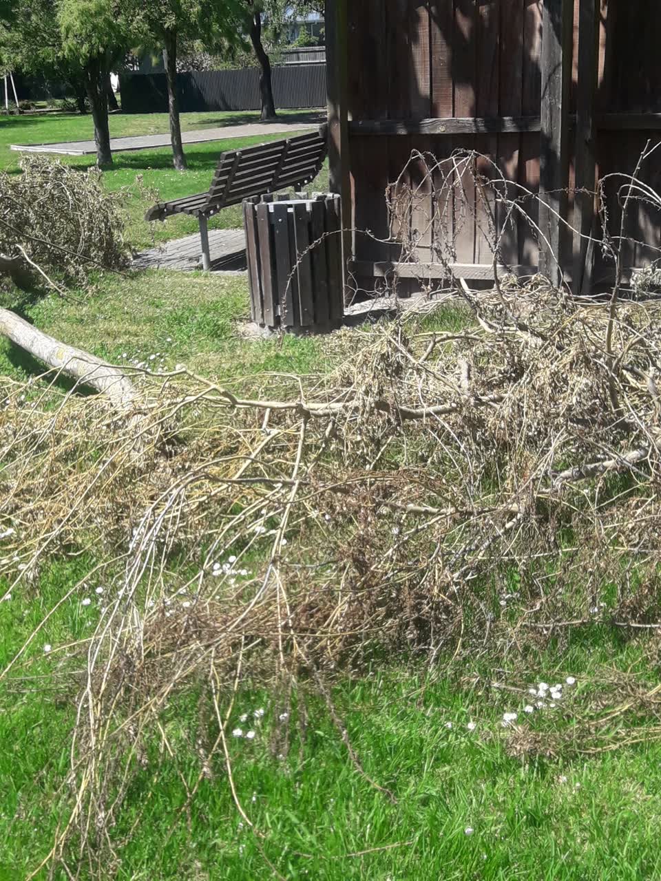 The photograph attached to this parks report