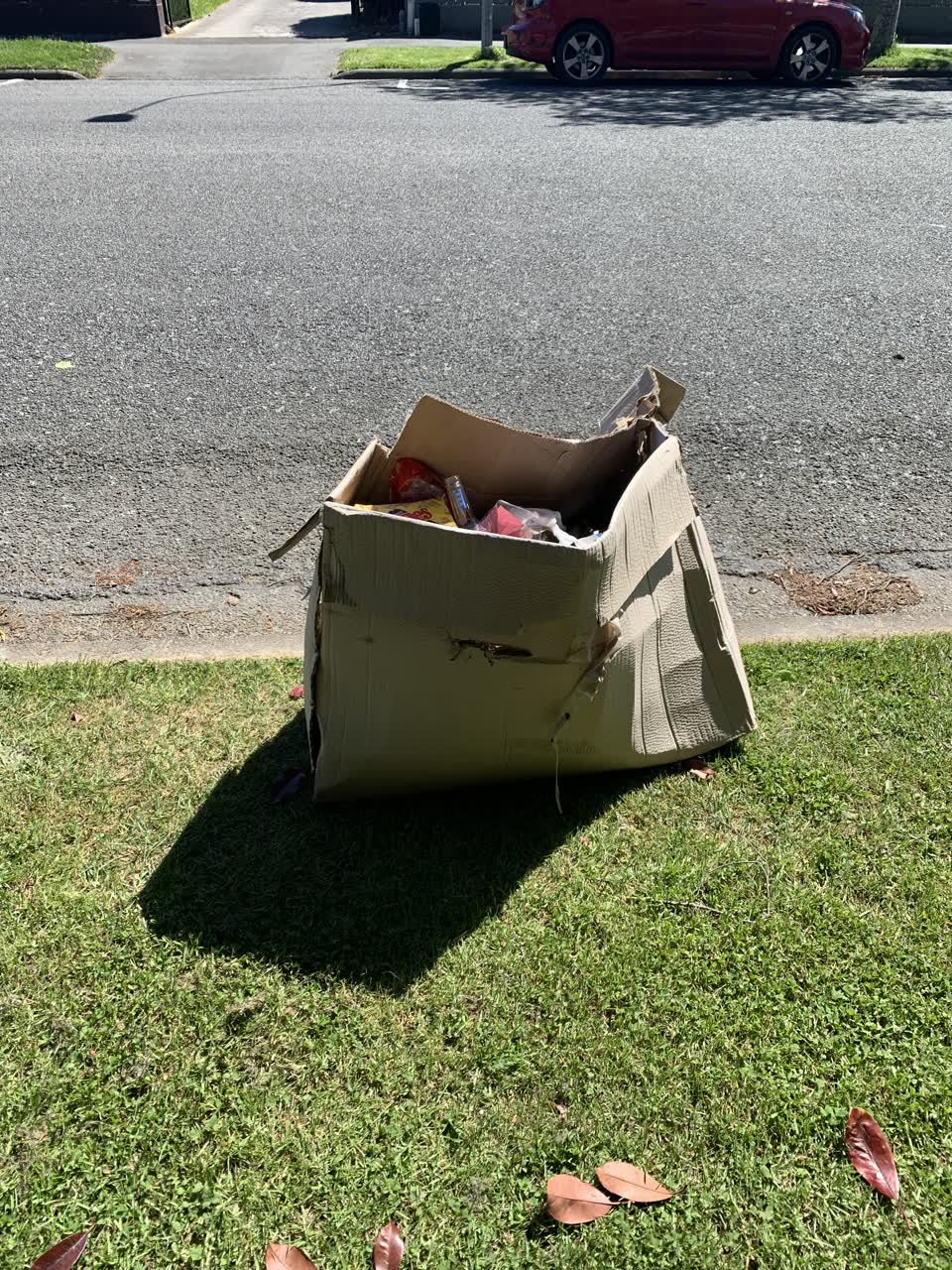 The photograph attached to this rubbish/recycling report