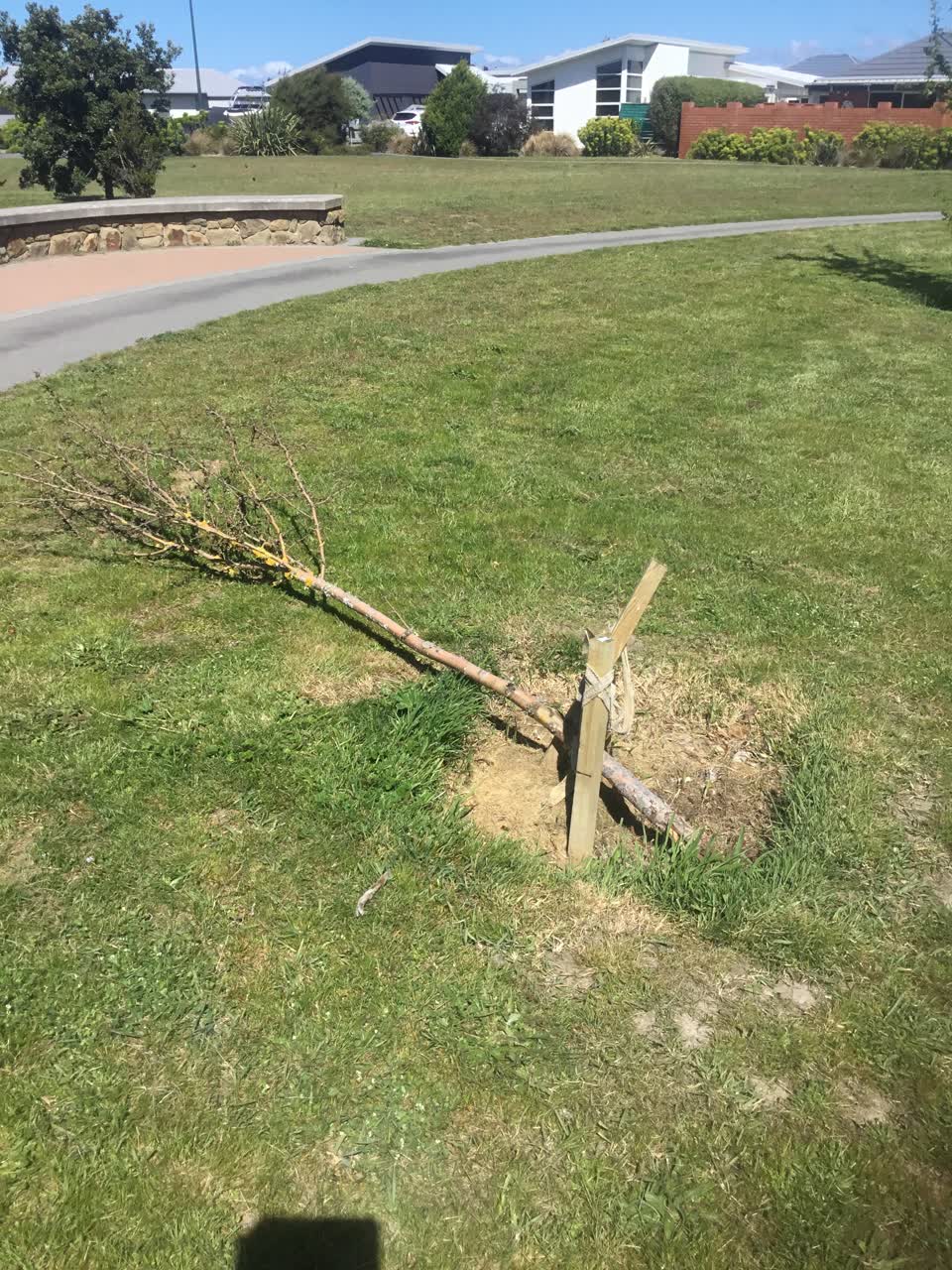 The photograph attached to this parks report