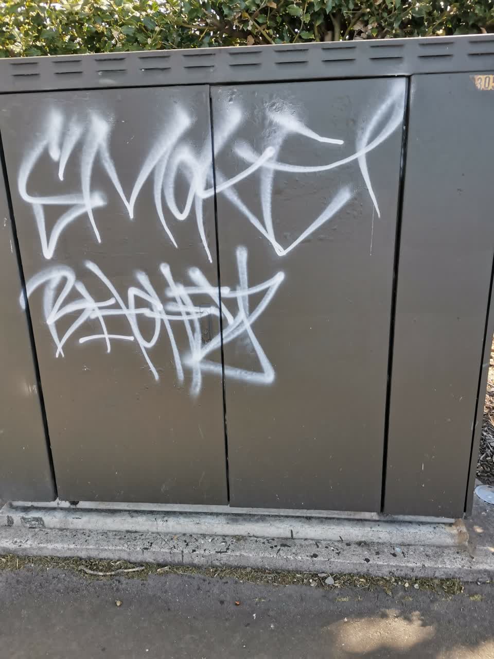 The photograph attached to this graffiti report
