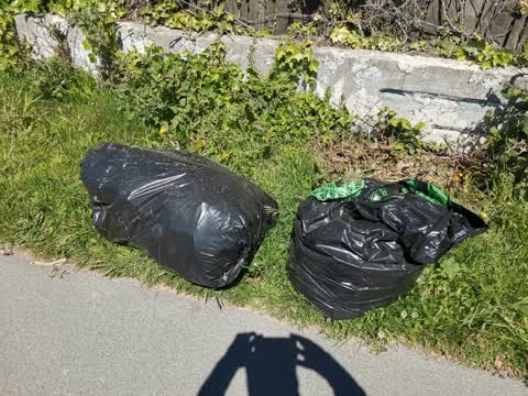 Rubbish/Recycling, a report photo