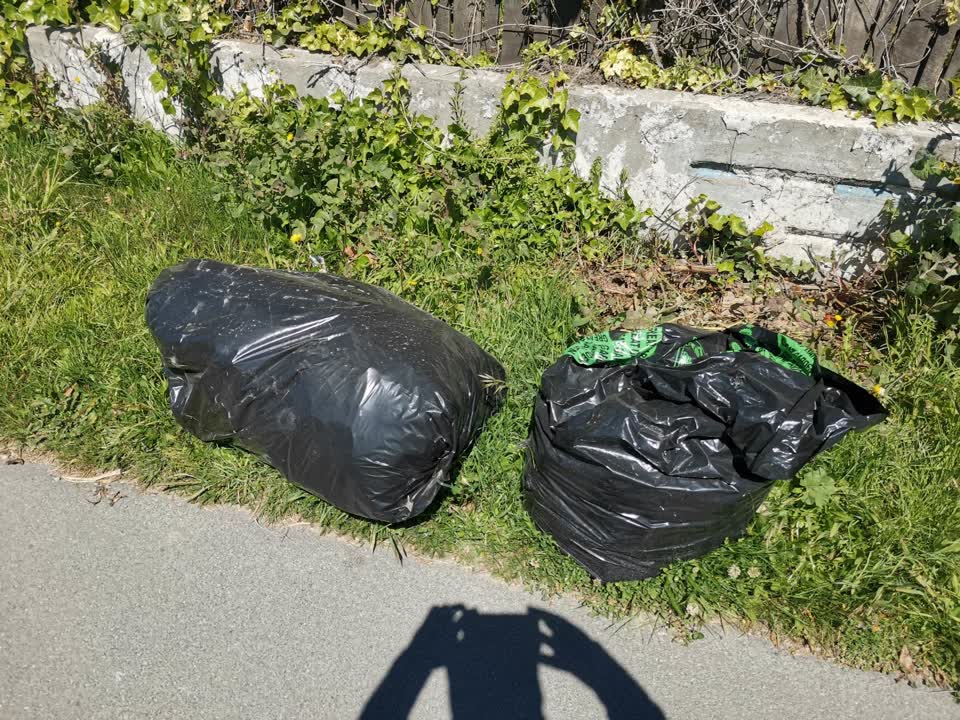 The photograph attached to this rubbish/recycling report