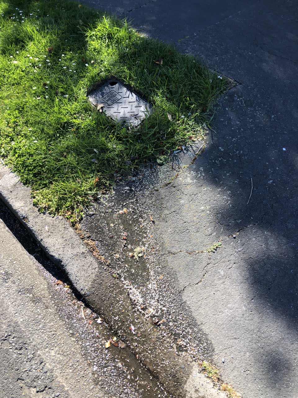 The photograph attached to this water leak report