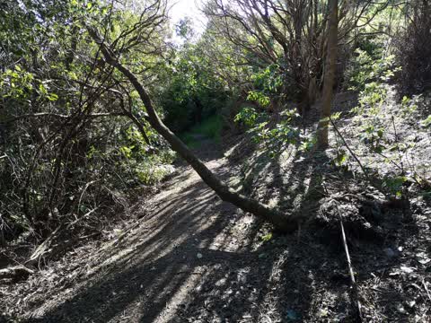 Parks, a report photo