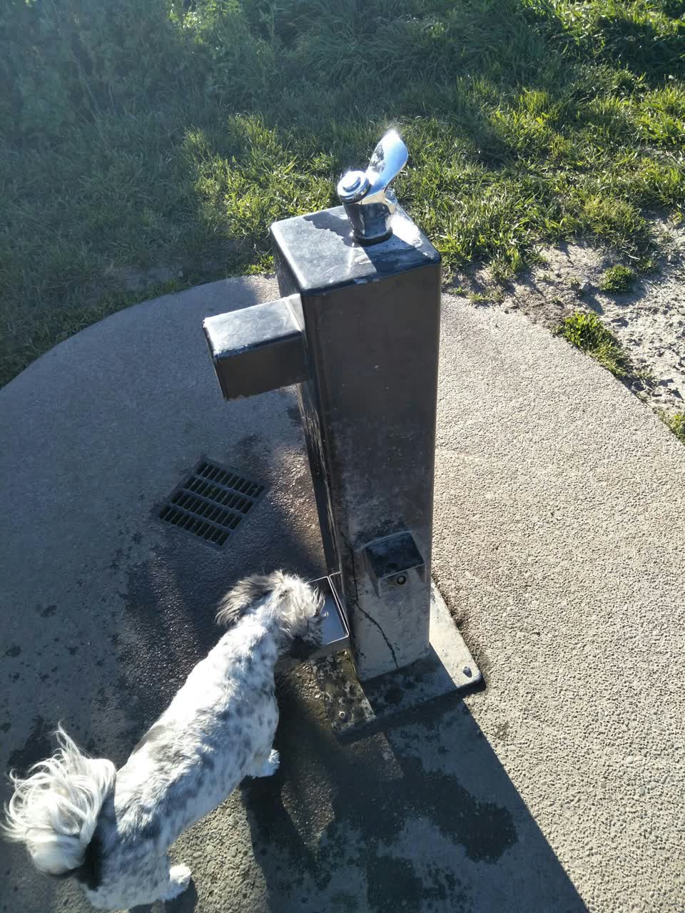 The photograph attached to this water supply report