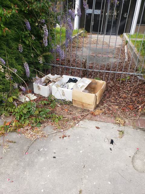 Rubbish/Recycling, a report photo