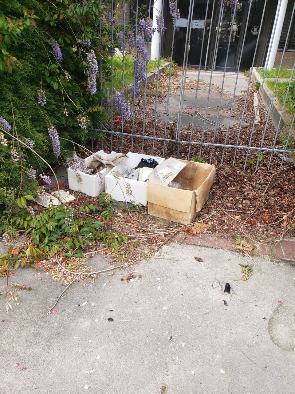 The photograph attached to this rubbish/recycling report