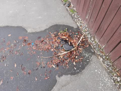 Water Leak, a report photo